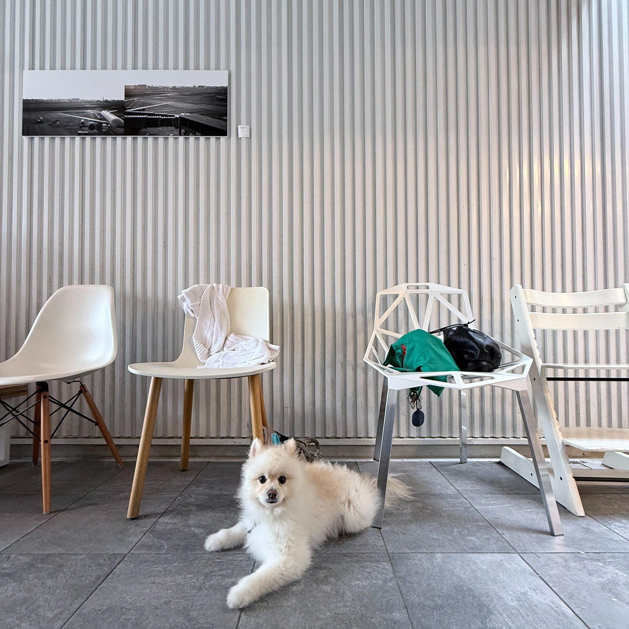 住宅を地域社会に開放する。建築家